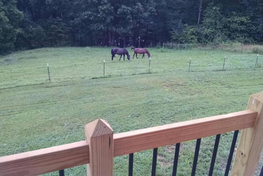 Holiday home The Ranch In Mt Airy