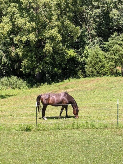 The Ranch In Mt Airy *